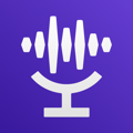 Voice.ai