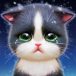 KittenMatch